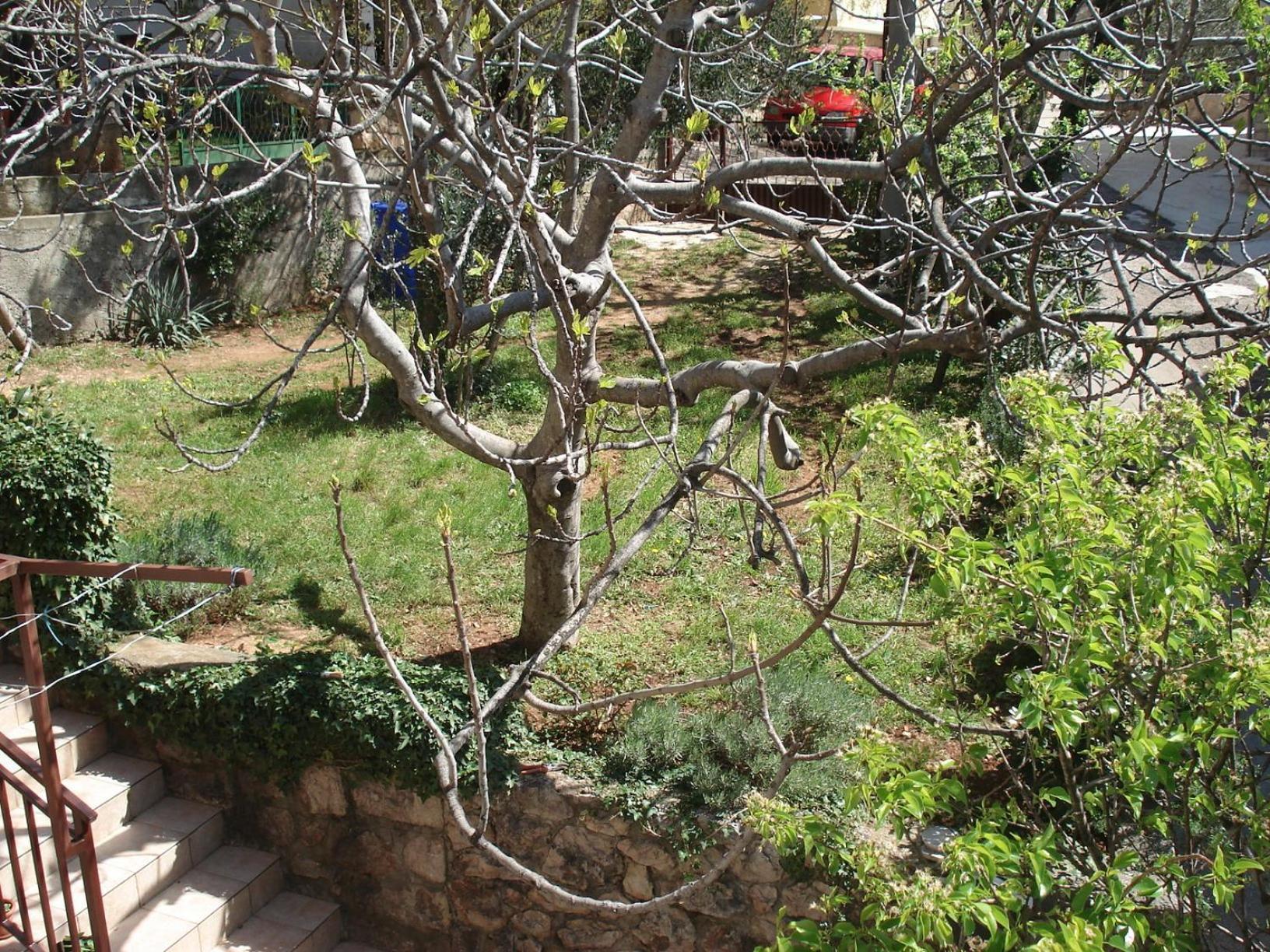 Apartments Mia Starigrad Paklenica Εξωτερικό φωτογραφία